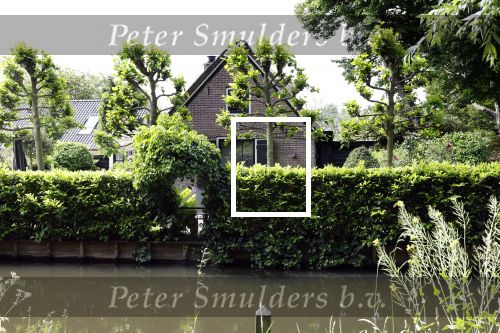 Amsterdam en Baambrugge 26 mei 2022
Bob Sikkes heeft een appartement in Amsterdam en een huis aan het water in een klein dorpje net buiten Amsterdam