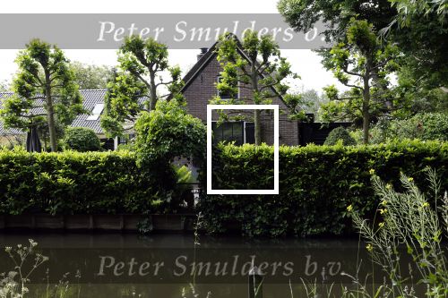 Amsterdam en Baambrugge 26 mei 2022
Bob Sikkes heeft een appartement in Amsterdam en een huis aan het water in een klein dorpje net buiten Amsterdam