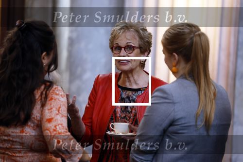 Amsterdam 9 juni 2022
Prinses Beatrix bij uitreiking van de zilveren Anjers in het paleis op de dam . Els Blokker
