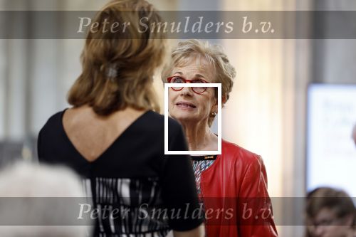 Amsterdam 9 juni 2022
Prinses Beatrix bij uitreiking van de zilveren Anjers in het paleis op de dam . Els Blokker