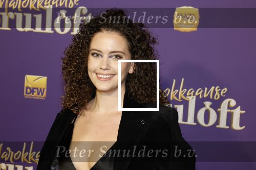 Amsterdam 30 mei 2022
Premiere Marokkaanse bruiloft in Tuschinski met oa als castleden Samouya Ahouaoui Walid Benmbarek Pip Pellens Liza Sips en Nabil Aouled Ayad in tuschinski. Emma Deckers kwam met een vriendin