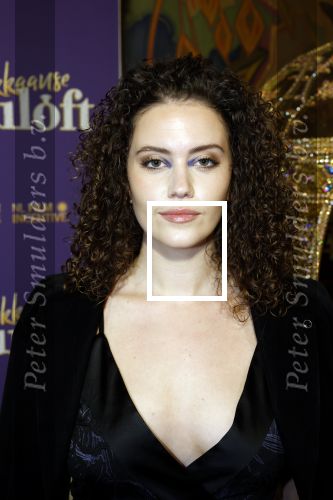 Amsterdam 30 mei 2022
Premiere Marokkaanse bruiloft in Tuschinski met oa als castleden Samouya Ahouaoui Walid Benmbarek Pip Pellens Liza Sips en Nabil Aouled Ayad in tuschinski. Emma Deckers kwam met een vriendin