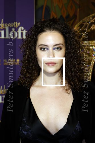 Amsterdam 30 mei 2022
Premiere Marokkaanse bruiloft in Tuschinski met oa als castleden Samouya Ahouaoui Walid Benmbarek Pip Pellens Liza Sips en Nabil Aouled Ayad in tuschinski. Emma Deckers kwam met een vriendin