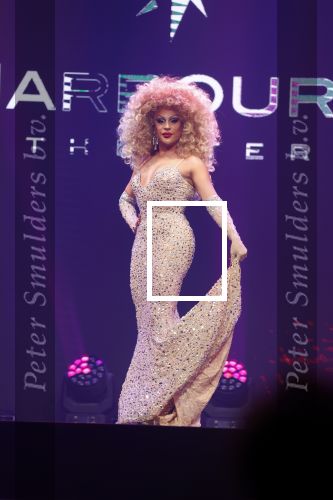 Amsterdam 31 mei 2022
Presentatie Dragshow bij the Harbour club .
Envy Peru, Skyla Versai, Abby omg, Vanessa van Cartier, Sederginne, Janey Jacke en Axel Andro .