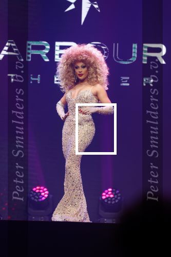 Amsterdam 31 mei 2022
Presentatie Dragshow bij the Harbour club .
Envy Peru, Skyla Versai, Abby omg, Vanessa van Cartier, Sederginne, Janey Jacke en Axel Andro .