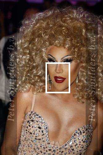 Amsterdam 31 mei 2022
Presentatie Dragshow bij the Harbour club .
Envy Peru, Skyla Versai, Abby omg, Vanessa van Cartier, Sederginne, Janey Jacke en Axel Andro .