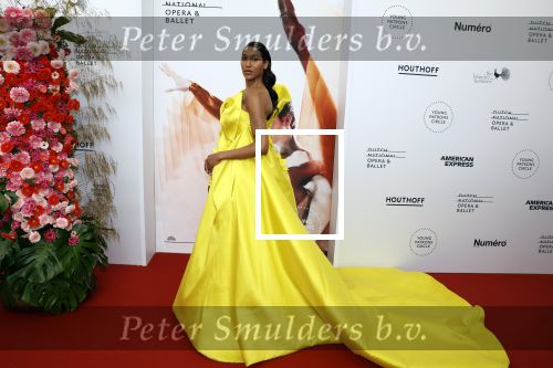 Amsterdam 4 juni 2022
Premiere Nationaal ballet in de stopera. Gia Bab en ontwerper van de jurk Edwin Oudshoorn