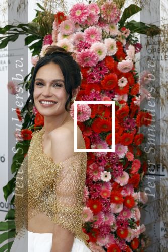 Amsterdam 4 juni 2022
Premiere Nationaal ballet in de stopera.
Holly Brood en Soy Kroon