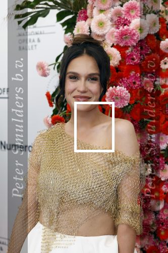Amsterdam 4 juni 2022
Premiere Nationaal ballet in de stopera.
Holly Brood en Soy Kroon