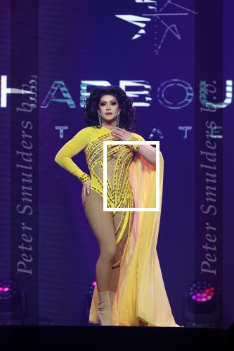 Amsterdam 31 mei 2022
Presentatie Dragshow bij the Harbour club .
Envy Peru, Skyla Versai, Abby omg, Vanessa van Cartier, Sederginne, Janey Jacke en Axel Andro .