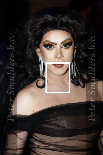 Amsterdam 31 mei 2022
Presentatie Dragshow bij the Harbour club .
Envy Peru, Skyla Versai, Abby omg, Vanessa van Cartier, Sederginne, Janey Jacke en Axel Andro .