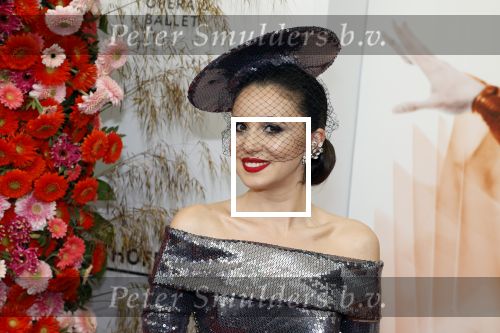 Amsterdam 4 juni 2022
Premiere Nationaal ballet in de stopera.
Karsu Donmez en partner