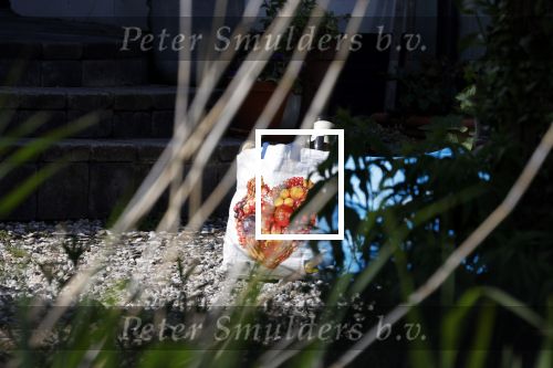 Uitdam 14 mei 2022
Huis Katja Schuurman