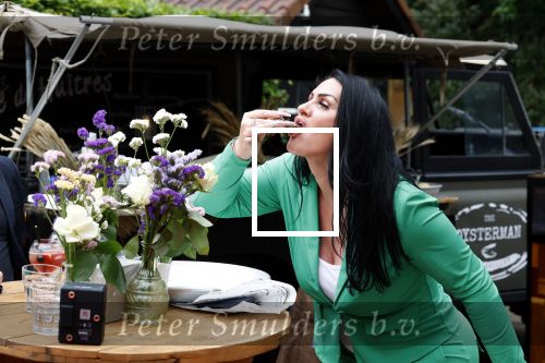 Huizen 25 mei 2022
Feestje ivm de nieuwe TLC serie van Louisa en Rowan op z\'n Gooisch. Louisa Janssen en haar man Rowan