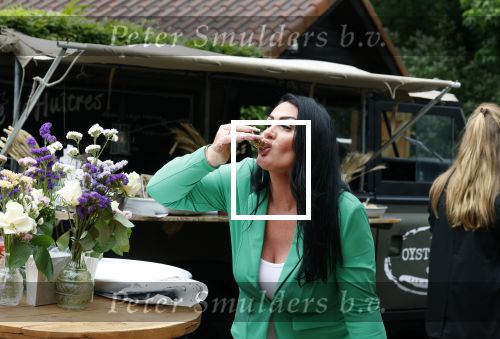 Huizen 25 mei 2022
Feestje ivm de nieuwe TLC serie van Louisa en Rowan op z\'n Gooisch. Louisa Janssen en haar man Rowan