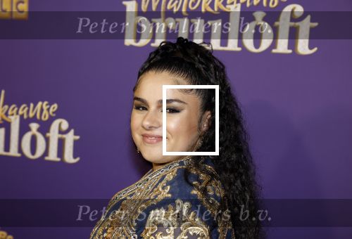 Amsterdam 30 mei 2022
Premiere Marokkaanse bruiloft in Tuschinski met oa als castleden Samouya Ahouaoui Walid Benmbarek Pip Pellens Liza Sips en Nabil Aouled Ayad in tuschinski. Numidia