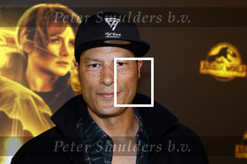 Amsterdam 2 juni 2022
Premiere Jurassic World in Pathe Arena .
Poal cairo met broer