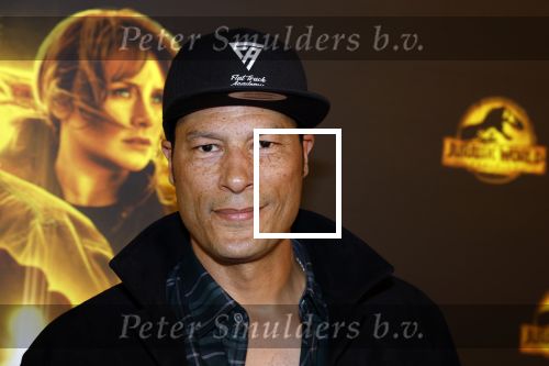 Amsterdam 2 juni 2022
Premiere Jurassic World in Pathe Arena .
Poal cairo met broer