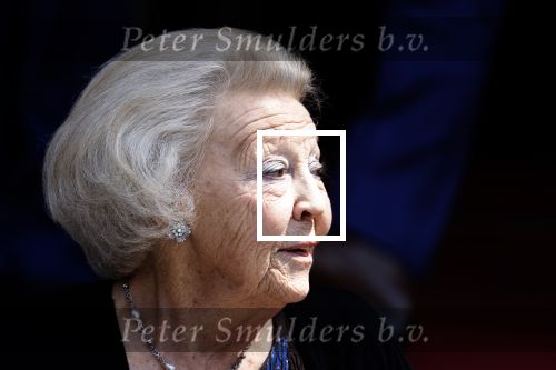Amsterdam 9 juni 2022
Prinses Beatrix bij uitreiking van de zilveren Anjers in het paleis op de dam .