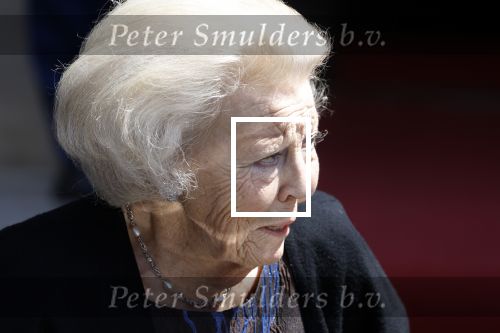Amsterdam 9 juni 2022
Prinses Beatrix bij uitreiking van de zilveren Anjers in het paleis op de dam .
