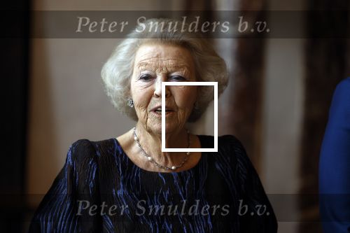 Amsterdam 9 juni 2022
Prinses Beatrix bij uitreiking van de zilveren Anjers in het paleis op de dam .