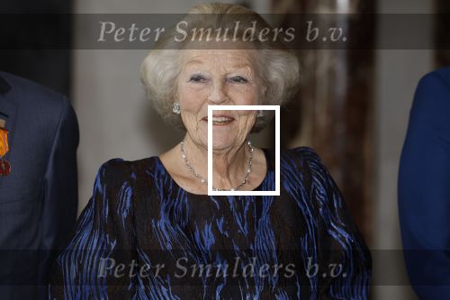 Amsterdam 9 juni 2022
Prinses Beatrix bij uitreiking van de zilveren Anjers in het paleis op de dam .