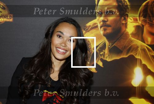 Amsterdam 2 juni 2022
Premiere Jurassic World in Pathe Arena .
Romy Monteiro en Buddy Vedder presenteerden het