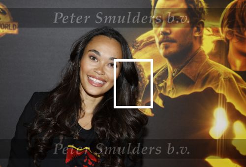 Amsterdam 2 juni 2022
Premiere Jurassic World in Pathe Arena .
Romy Monteiro en Buddy Vedder presenteerden het