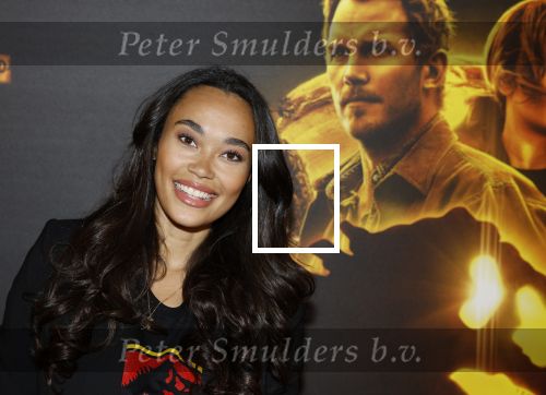 Amsterdam 2 juni 2022
Premiere Jurassic World in Pathe Arena .
Romy Monteiro en Buddy Vedder presenteerden het