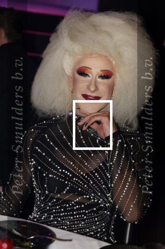 Amsterdam 31 mei 2022
Presentatie Dragshow bij the Harbour club .
Envy Peru, Skyla Versai, Abby omg, Vanessa van Cartier, Sederginne, Janey Jacke en Axel Andro .
