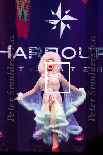 Amsterdam 31 mei 2022
Presentatie Dragshow bij the Harbour club .
Envy Peru, Skyla Versai, Abby omg, Vanessa van Cartier, Sederginne, Janey Jacke en Axel Andro .