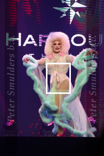 Amsterdam 31 mei 2022
Presentatie Dragshow bij the Harbour club .
Envy Peru, Skyla Versai, Abby omg, Vanessa van Cartier, Sederginne, Janey Jacke en Axel Andro .