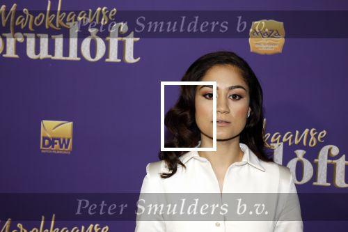 Amsterdam 30 mei 2022
Premiere Marokkaanse bruiloft in Tuschinski met oa als castleden Soumaya Ahouaoui Walid Benmbarek Pip Pellens Liza Sips en Nabil Aouled Ayad in tuschinski. Soumaya Ahouaoui kwam met haar moeder en familie