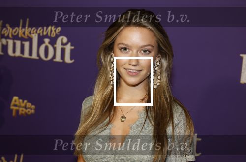 Amsterdam 30 mei 2022
Premiere Marokkaanse bruiloft in Tuschinski met oa als castleden Samouya Ahouaoui Walid Benmbarek Pip Pellens Liza Sips en Nabil Aouled Ayad in tuschinski. Sterre Koning