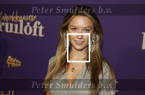 Amsterdam 30 mei 2022
Premiere Marokkaanse bruiloft in Tuschinski met oa als castleden Samouya Ahouaoui Walid Benmbarek Pip Pellens Liza Sips en Nabil Aouled Ayad in tuschinski. Sterre Koning