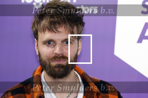 Amsterdam 25 mei 2022
Uitreiking best social awards in Amsterdam.
Tim Hofman met zijn team van BOOS