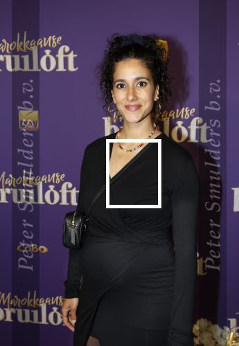 Amsterdam 30 mei 2022
Premiere Marokkaanse bruiloft in Tuschinski met oa als castleden Samouya Ahouaoui Walid Benmbarek Pip Pellens Liza Sips en Nabil Aouled Ayad in tuschinski. Toprak Yalciner zwanger