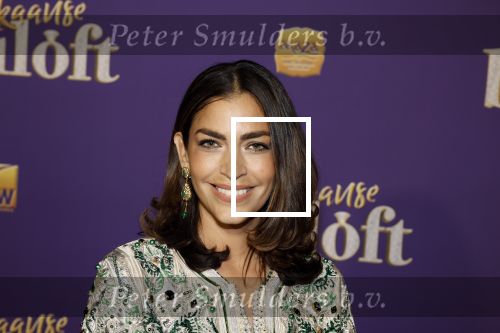 Amsterdam 30 mei 2022
Premiere Marokkaanse bruiloft in Tuschinski met oa als castleden Samouya Ahouaoui Walid Benmbarek Pip Pellens Liza Sips en Nabil Aouled Ayad in tuschinski. Touriya