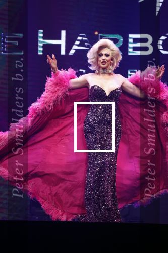 Amsterdam 31 mei 2022
Presentatie Dragshow bij the Harbour club .
Envy Peru, Skyla Versai, Abby omg, Vanessa van Cartier, Sederginne, Janey Jacke en Axel Andro .Thomas Cammaert met partner