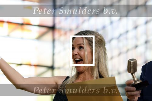Hilversum 19 mei 2022
Radio prijzen voor de digitale radio stations bij beeld en geluid. Wytske Kenemans