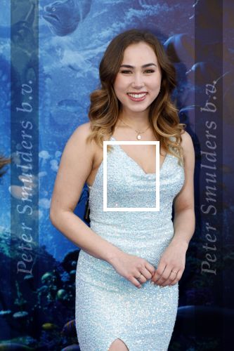Amsterdam 23 mei 2023
Premiere Little Mermaid in Tuschinski.
Anique Dreamon