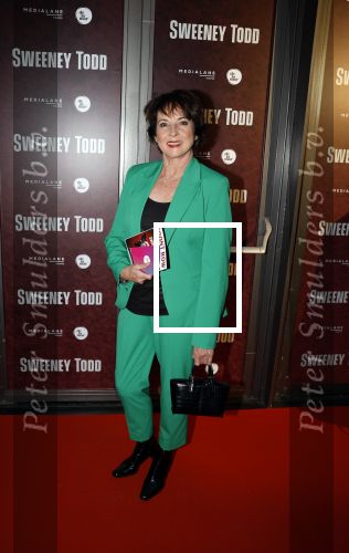 Amsterdam 21 april 2023
Premiere Sweeney Todd in het DeLaMar theater geproduceerd door Medialane.
Anne-Mieke Ruyten