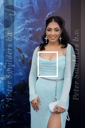 Amsterdam 23 mei 2023
Premiere Little Mermaid in Tuschinski.
April Darby
