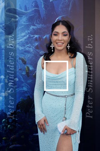 Amsterdam 23 mei 2023
Premiere Little Mermaid in Tuschinski.
April Darby