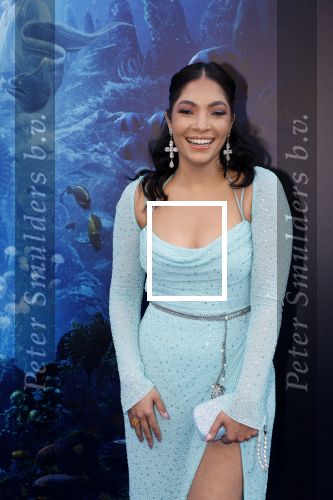 Amsterdam 23 mei 2023
Premiere Little Mermaid in Tuschinski.
April Darby