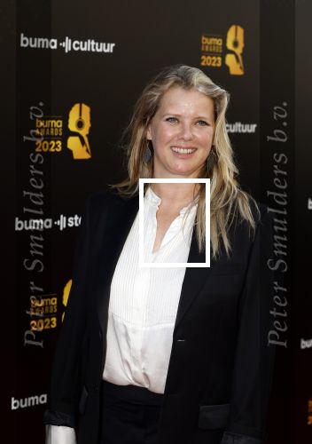 Amsterdam 22 mei 2023
Uitreiking Buma awards in Tuschinski Amsterdam.
Babette v Veen