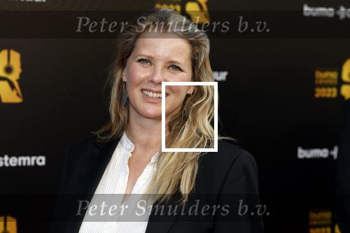 Amsterdam 22 mei 2023
Uitreiking Buma awards in Tuschinski Amsterdam.
Babette v Veen