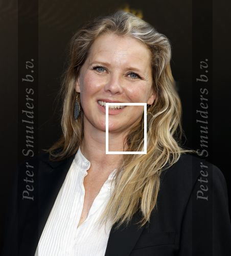 Amsterdam 22 mei 2023
Uitreiking Buma awards in Tuschinski Amsterdam.
Babette v Veen