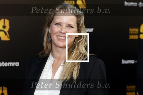 Amsterdam 22 mei 2023
Uitreiking Buma awards in Tuschinski Amsterdam.
Babette v Veen