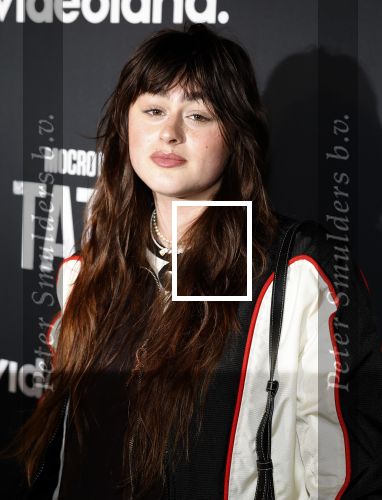 Amsterdam 25 april 2023
Premiere Mocro Maffia Tatta van Videoland.
Bente Fokkens